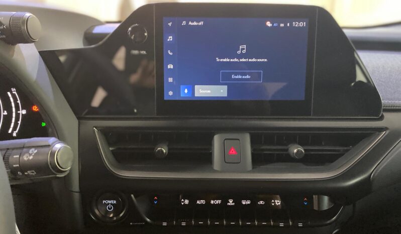 LEXUS UX 300H PLUS lleno