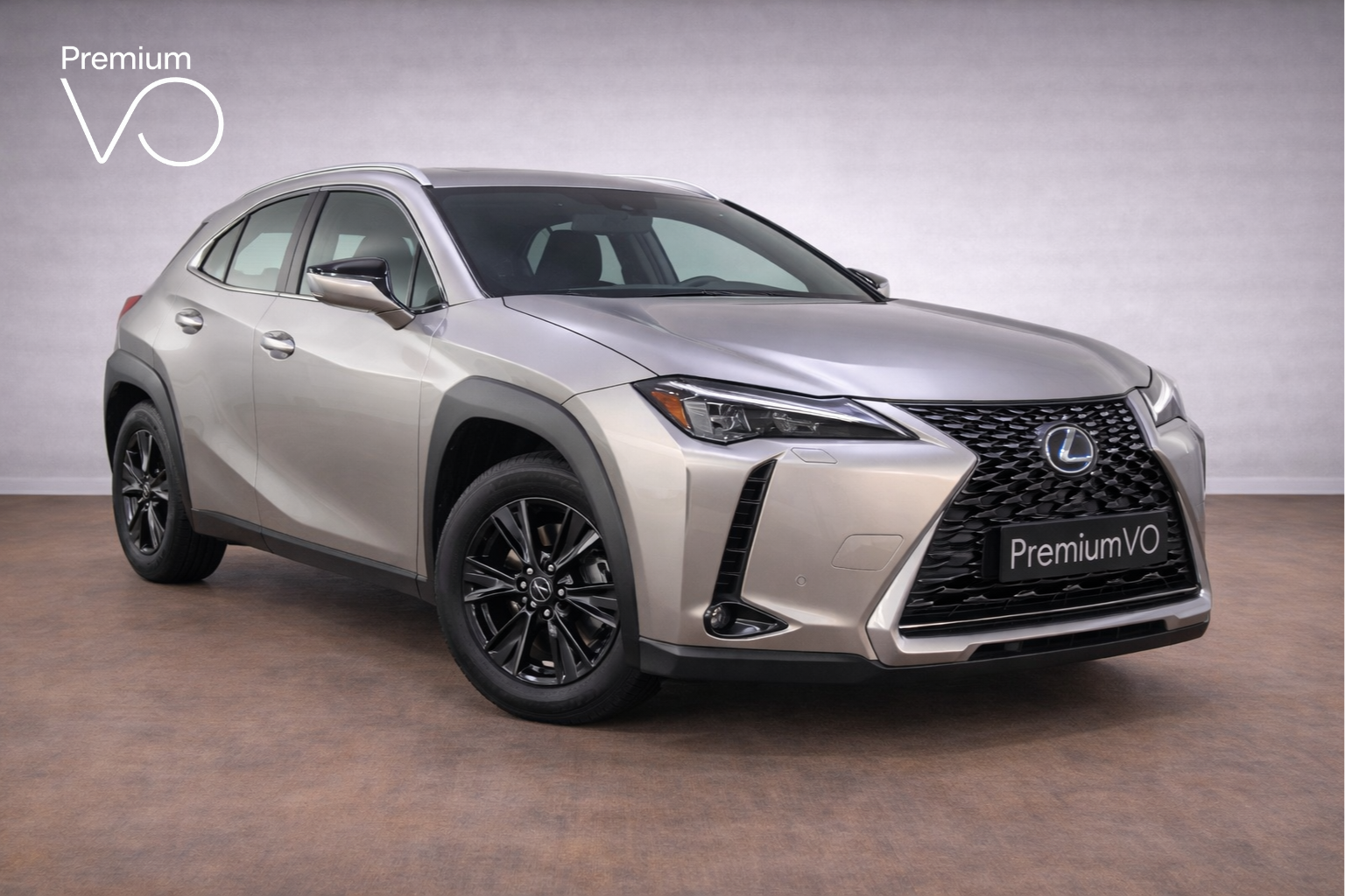 LEXUS UX 300H PLUS